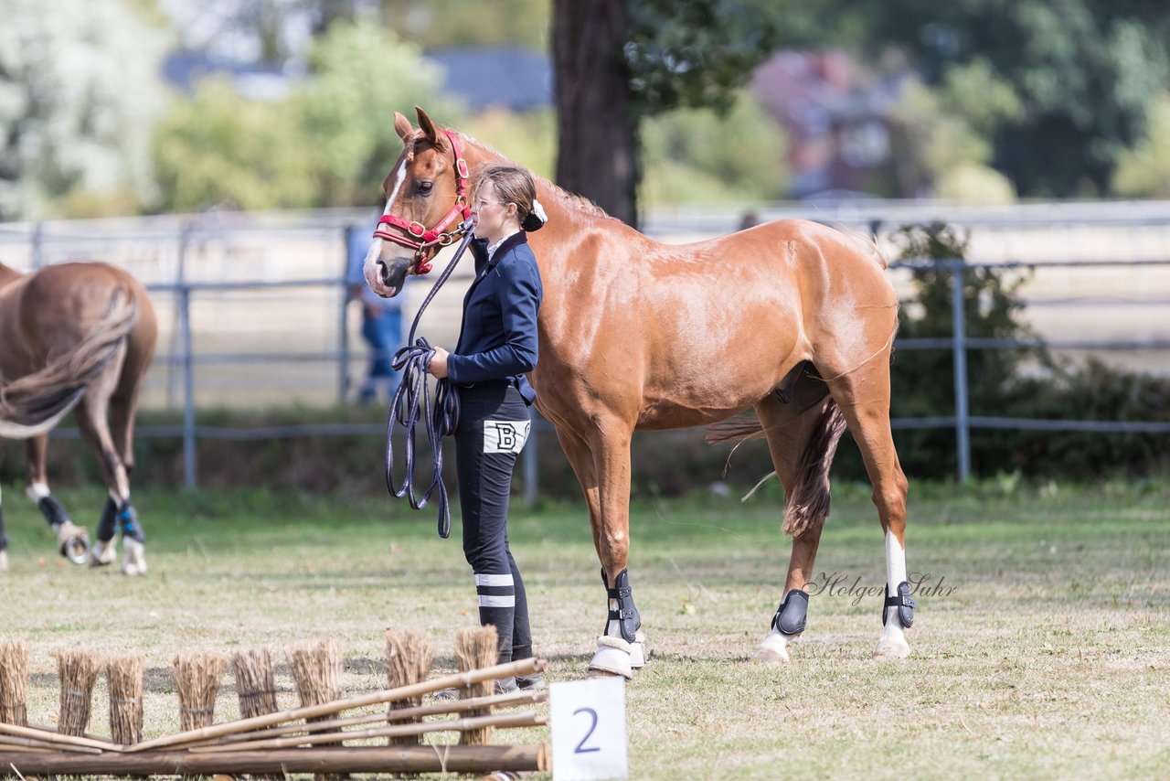 Bild 39 - Pony Akademie Turnier